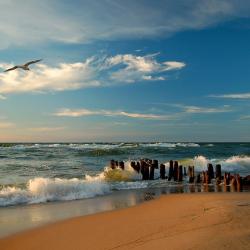 Фото Отель Танзания