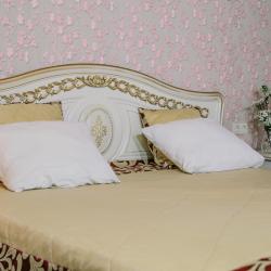 Фото Отель Аммонит