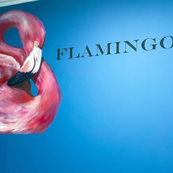 1-комнатные апартаменты студия с 1 двуспальной кроватью FLAMINGO