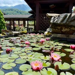 Фото Отель Вертикаль