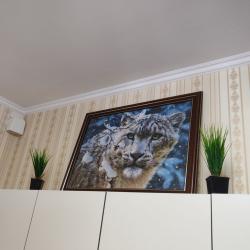 Номер стандарт улучшенный