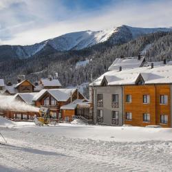 Фото Отель Баринъ