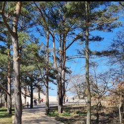 Фото Отель Дом с дизайнерским ремонтом