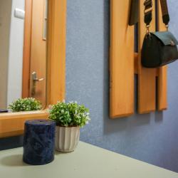 Фото Апартаменты Savina на улице Пролетарская