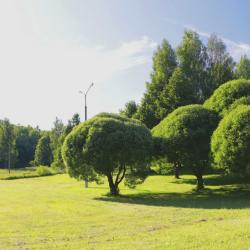Фото Отель Загорские дали