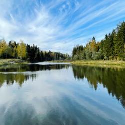 Фото Отель Pine Forest (Пайн Форест)