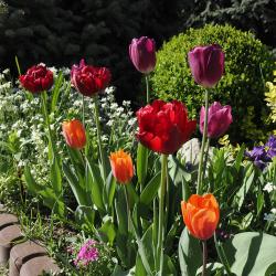 Фото Отель Азия (Asia)