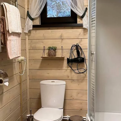 Гармония леса