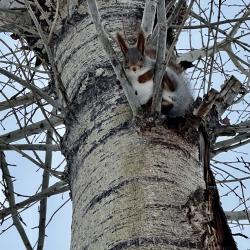 Фото Отель Адмирал