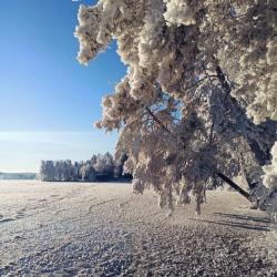 Фото Отель Сандал