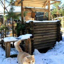 Фото Отель Гостевой Дом Троица