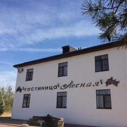 Фото Отель Лесная