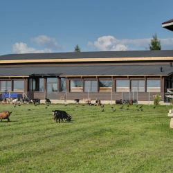 Фото Отель Усадьба Зеехоф