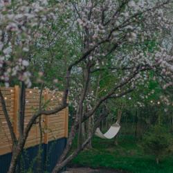 Фото Отель А-Шалаш Черноречье