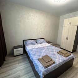 Фото Aday Apartments (Эдэй Апартаменты) на улице Энгельса 115а/3
