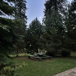 Фото Отель Банковская Дача