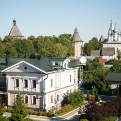 фото 7 Арт-Отель Николаевский Посад