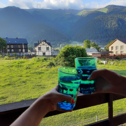 Фото Отель Вилла Лиза