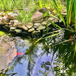 Фото Отель Каролина