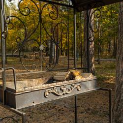 Фото Отель Сосновый бор