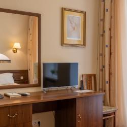 Номер полулюкс с 1 двуспальной кроватью