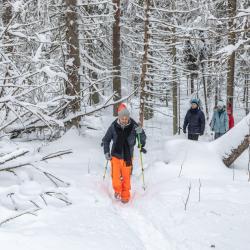 Фото Отель Lago Ladoga (Лаго Ладога)