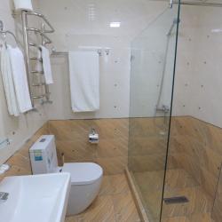 Фото Отель Ayniy (Aйний)