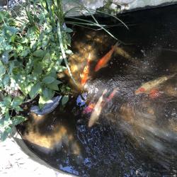 Фото Отель Анни