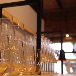 Фото Отель Soul Kitchen (Соул Китчен)