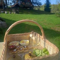 Фото Отель Елки-Палки