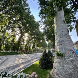 Фото Отель Aliz Boulevard Hotel (Ализ Бульвар)