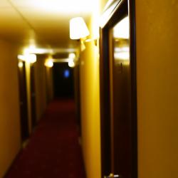 Фото Амакс Визит-Отель (Amaks Vizit-Hotel)