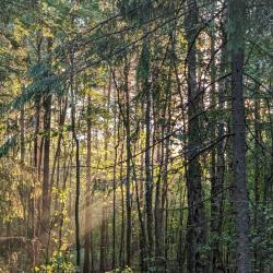 Фото Дизайн-отель Seliger Club (Селигер Клуб)