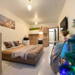 1-комнатные апартаменты студия