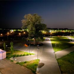 Номер стандарт с балконом и видом на парк