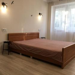 Фото Апартаменты на улице Красноармейская 53