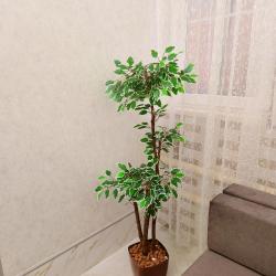 Комната комфорт с 1 двуспальной кроватью