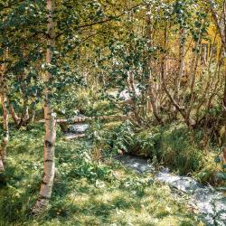 Коттедж Сакура