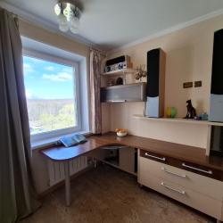 Фото Апартаменты на улице Ларина 18/1