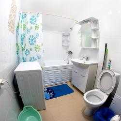 2-комнатные апартаменты стандарт Right room на пер. Салтыкова-Щедрина д.3 (мансарда)