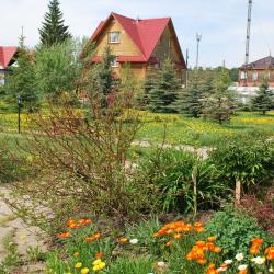 Фото Отель Здрава Дача