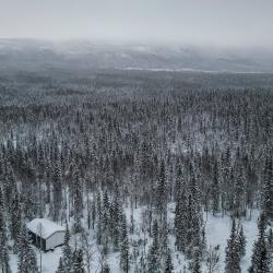 Фото Отель Частный дом Bigwood (Бигвуд)