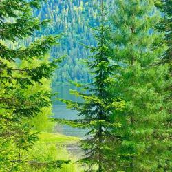 Коттедж стандарт