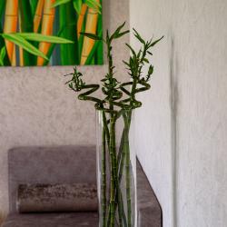 Фото Отель Олимп