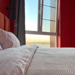 1-комнатные апартаменты стандарт Terracotta