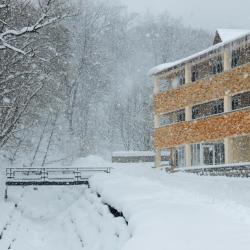 Фото Отель Tsaghkahovit Hotel (Цахкаовит)