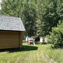 Фото Отель Дом в деревне Чернокуново