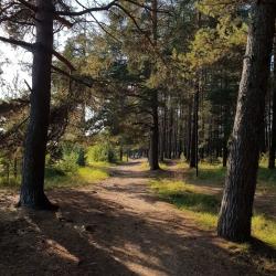 Фото Отель Ranta (Ранта)