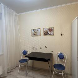 Фото Отель Однокомнатная квартира в центре города