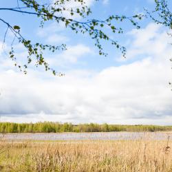 Фото Отель Сойма Парк